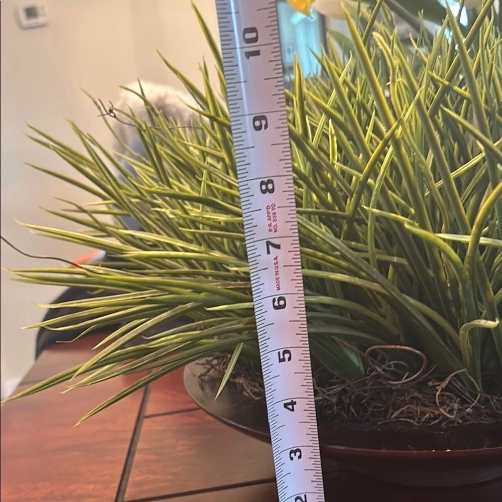 Artificial Green Grass Plant in Decorative Wood Pot from Haverty’s